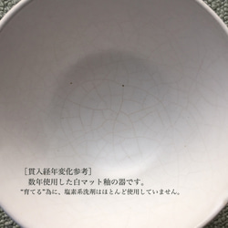 《白マット器》リム・皿　Φ15.4cm（白マット釉／貫入）［W-14] 6枚目の画像