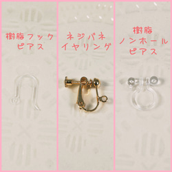 【再販】Jewelry Drug（ルビー） 10枚目の画像