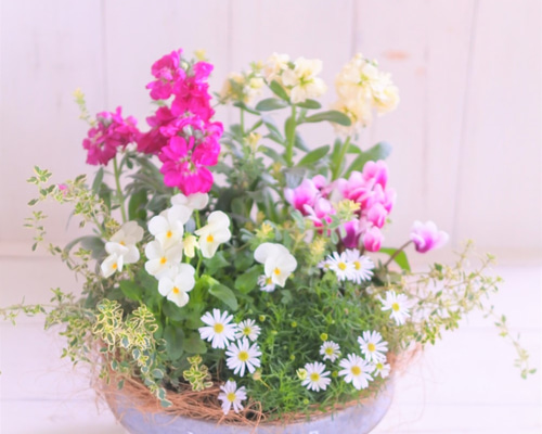 0_535704c1b4069c3da070532b44f9