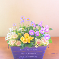 花　寄せ植え　ハボタン　プリムラ　リース　2点 花 寄せ植え ハボタン プリムラ リース 2点 プリムラと葉ボタンのお花