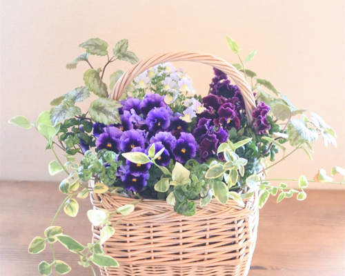 ハンドメイド　ビオラ 0_694bb2dcc66371d1d9bdab678603