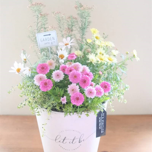 マーガレットのお花の寄せ植え* その他素材 miiko's garden 通販