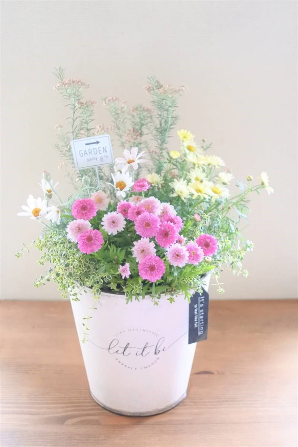マーガレットのお花の寄せ植え* その他素材 miiko's garden 通販