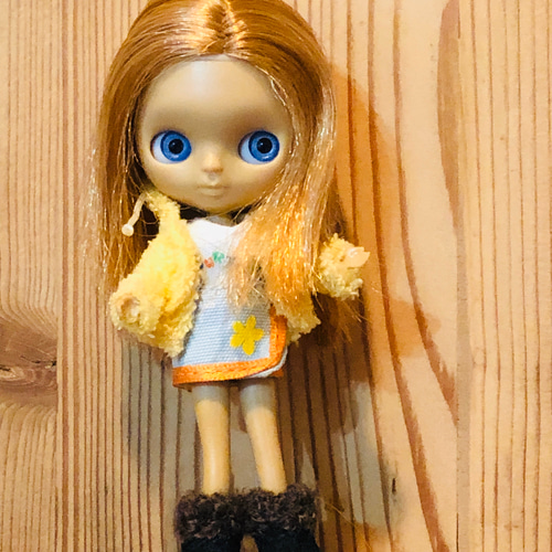 ❀カスタムプチブライス❀ カスタムプチブライス✣販売開始