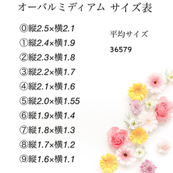 ネイルチップNo.143  ニュアンスネイル　シルバー　ミラー　薔薇 3枚目の画像