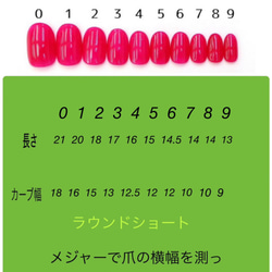 ネイルチップNo.14 秋ネイル　ニュアンスネイル　べっ甲 4枚目の画像