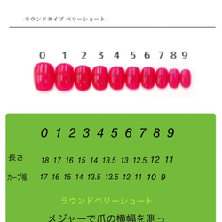 ネイルチップNo.14 秋ネイル　ニュアンスネイル　べっ甲 5枚目の画像