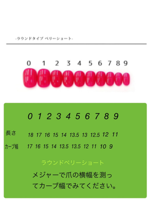 ネイルチップNo.14 秋ネイル　ニュアンスネイル　べっ甲 5枚目の画像