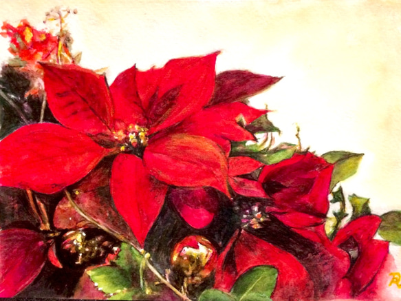 水彩画で描くポインセチア✨ 原画お渡し 有料額装、送料込み 絵画