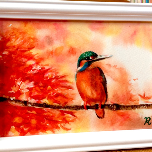 カワセミ – 絵画や壁飾り販売｜風景投稿販売あゆわら(R)