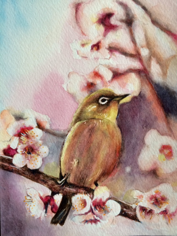 水彩画 原画 有 名作 河津桜」透明水彩画 通販 Oni 絵画 A4サイズ 額縁付 風景画