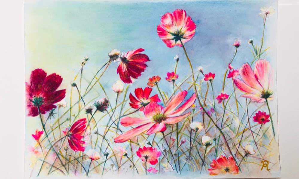 水彩画の秋桜✨原画 A4サイズ 有料額装込み 絵画 Rocca 通販