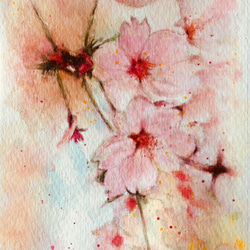 秋桜　水彩画　原画 f75084c55a0ef07e408b198dee33ae