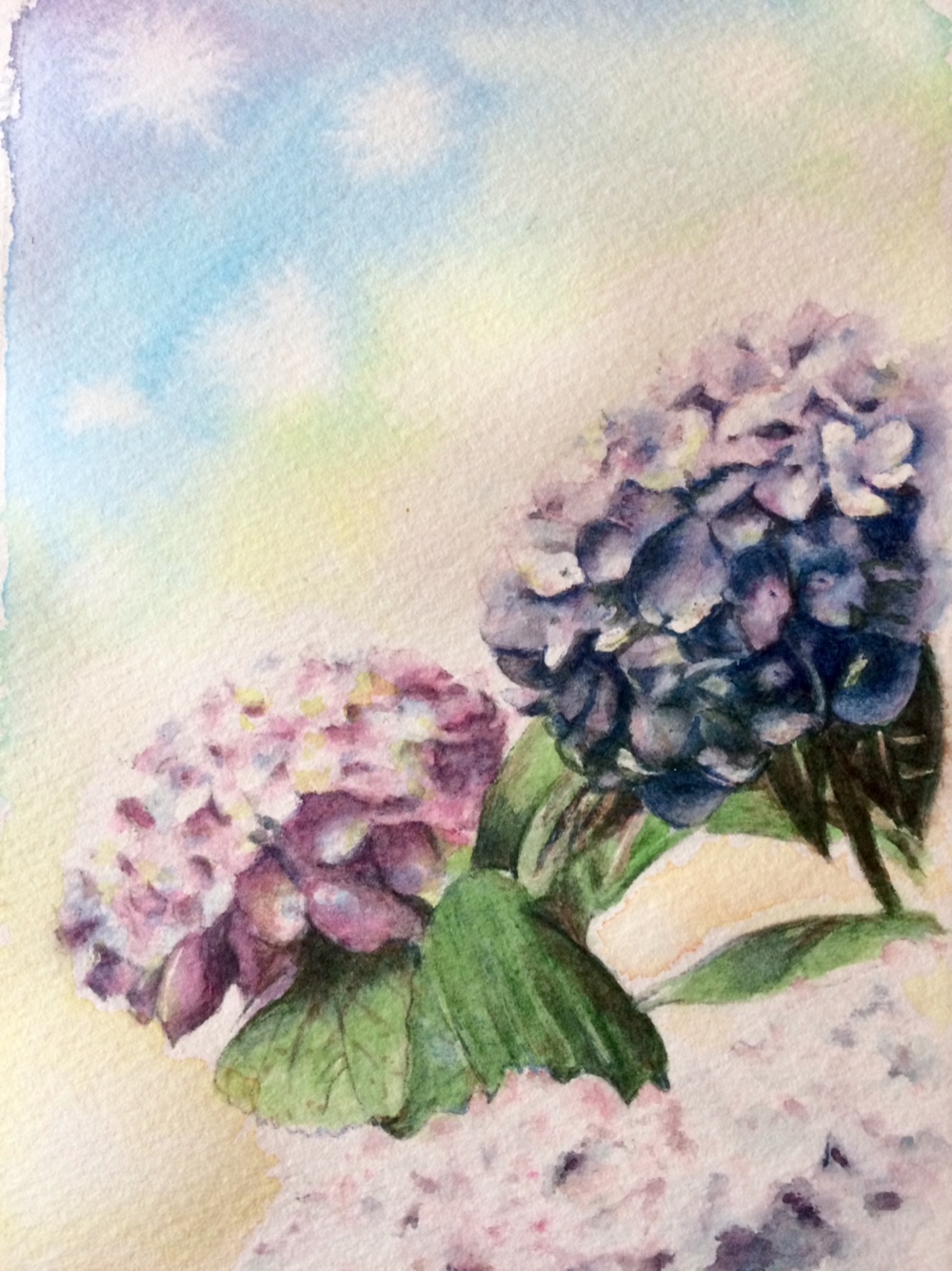 額装 アジサイ 水彩画 原画 絵画