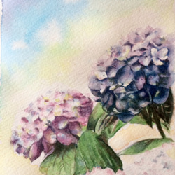 仔犬と紫陽花　水彩画　原画　額付き e9a4aa9abc6baef761b2c12a33d6c3