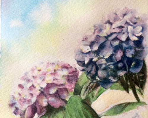 紫陽花の水彩画 フレーム付き 9090a1b1f9e20d9b1d34b2e4231cd5