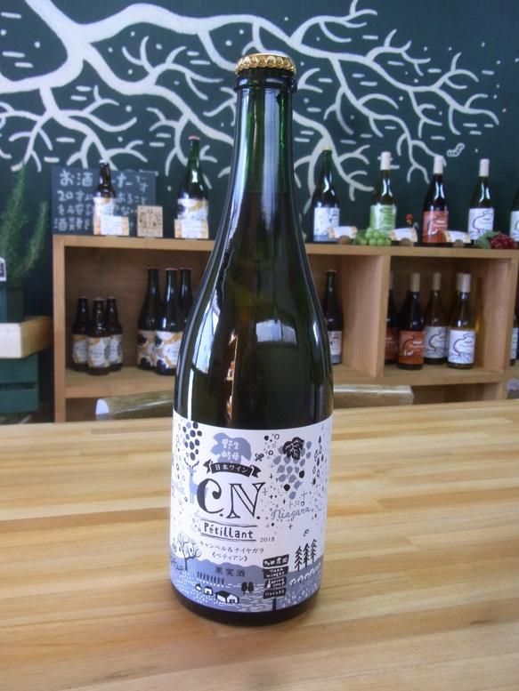 TADA　WINEセット　北海道で育ったぶどうを、野生酵母で自然発酵してつっくたワイン 5枚目の画像