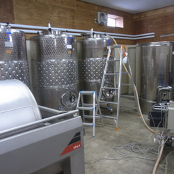 TADA　WINEセット　北海道で育ったぶどうを、野生酵母で自然発酵してつっくたワイン 6枚目の画像