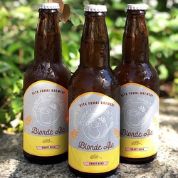 モンキーマウンテン　クラフトビール　Blonde Ale　ブロンドエール　ABV(アルコール分) 4.5％　３本セット 1枚目の画像