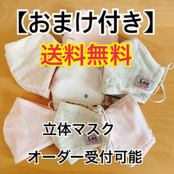 【おまけ付・送料無料・即日発送】立体マスク 白 ハンドメイド 手作り女性・子供用・小さめ・夏用マスク有 ポケット可能 1枚目の画像