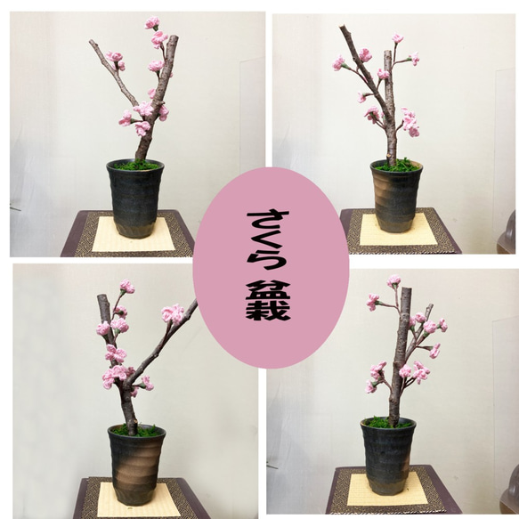 桜盆栽 造花 フェイクフラワー 7枚目の画像
