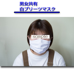 白厚手プリーツマスク　2枚セット　ノーズワイヤー入り 1枚目の画像