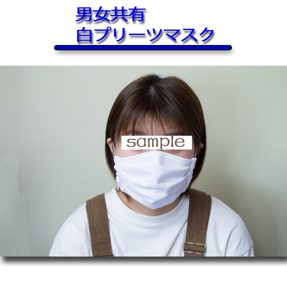 白厚手プリーツマスク　2枚セット　ノーズワイヤー入り 1枚目の画像