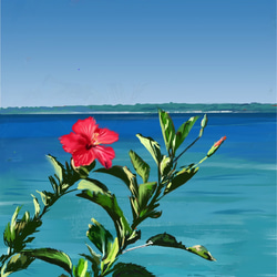 石垣島の風景クリアファイル５枚セット・A4サイズ 3枚目の画像