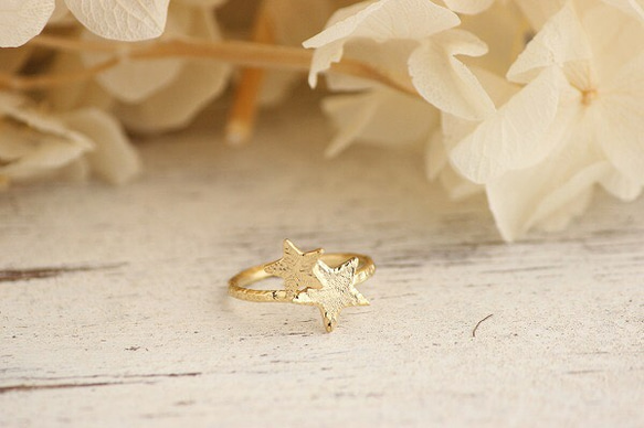 K18GP 寄り添う2つの星たち リング 指輪・リング aroi 通販 4221322