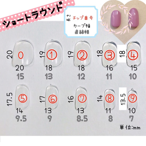 サイズ確認用チップ ネイルチップ（つけ爪） Jasmine 通販 8201549