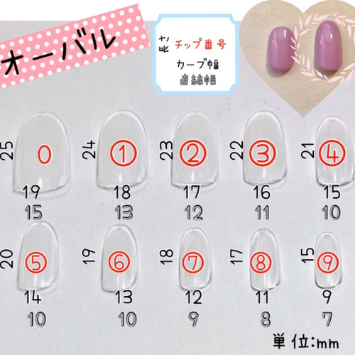 サイズ確認用チップ ネイルチップ（つけ爪） Jasmine 通販｜Creema 
