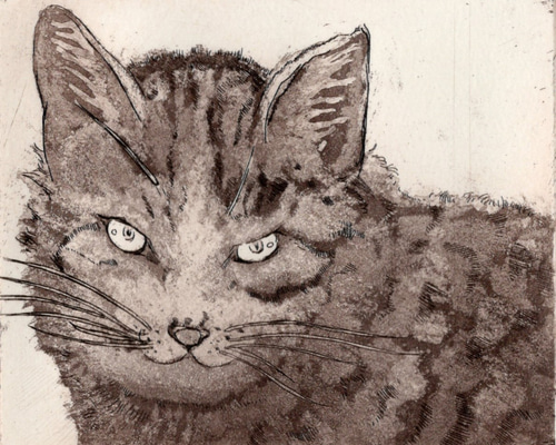 じっと見つめる 猫さんの銅版画 版画 Kaji yoco 通販 8368347