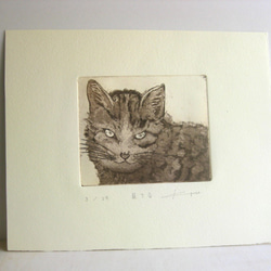 じっと見つめる　猫さんの銅版画 2枚目の画像