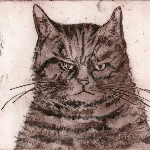 猫さんの銅版画 野良猫王の肖像画です 版画 Kaji yoco 通販 8368441