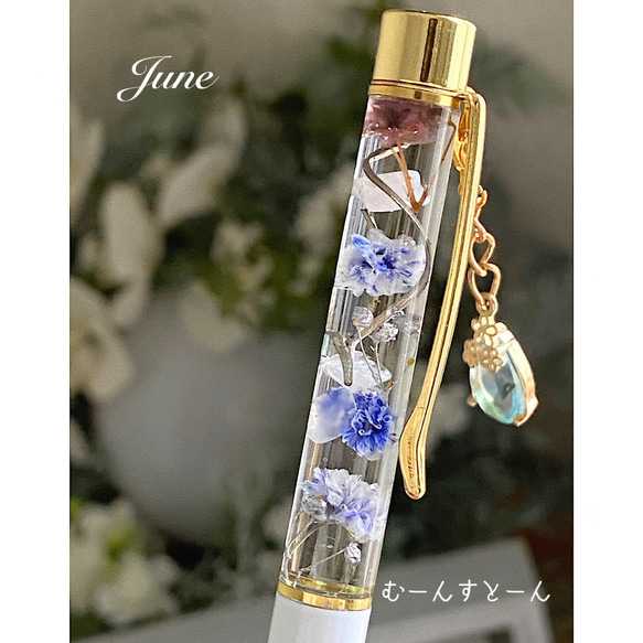 ジュエル付き新登場ムーンストーン入天然石ボールペン(6月の
