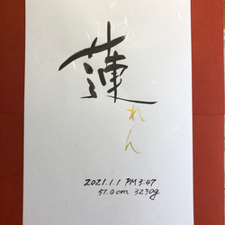 命名書　和紙A4版　書アーティスト作品 3枚目の画像