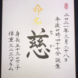 命名書代筆　色紙　オーダー承ります 5枚目の画像