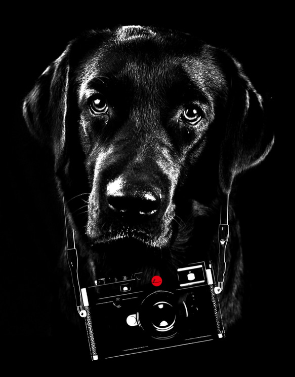 ライカカメラ&ラブラドール Tシャツ（黒） 5枚目の画像