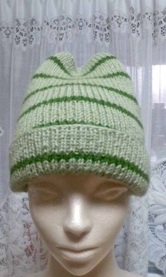 薄緑色に緑色のボーダー柄ニット帽子 1枚目の画像