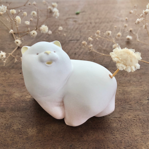 ちゃうちゃう様【クッション確認用】 ファースト チャウチャウ