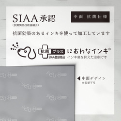 【セミオーダー】結婚式　紙製 抗菌マスクケース：02フェス【席札・メニュー表・タイムライン】 4枚目の画像