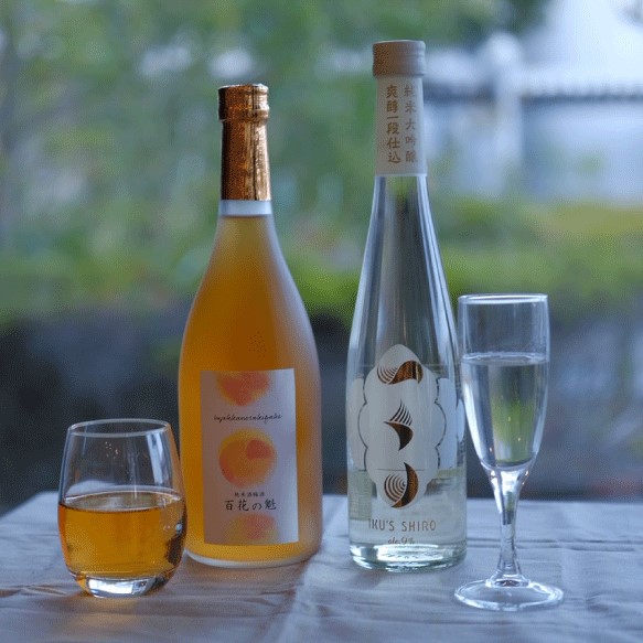 IKU'S SHIRO・梅酒セット 1枚目の画像
