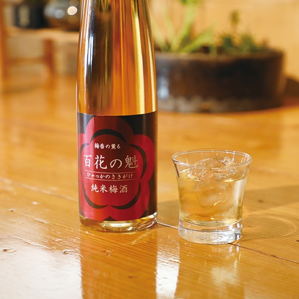 純米梅酒「百花の魁（ひゃっかのさきがけ）」 果実酒・梅酒