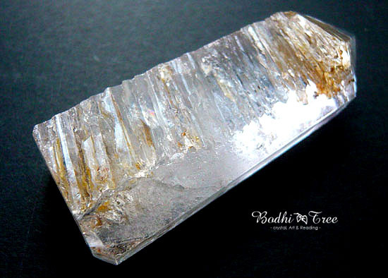 食像クリタル・ポイント