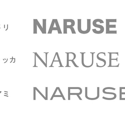 【鉄文字表札】ステンレス 切り文字（4文字） 4枚目の画像