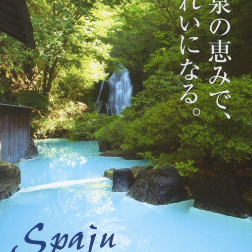 赤川名湯温泉石鹸 (普通肌) 90g　5個 赤川名湯温泉石鹸 (普通肌) 90g | 赤川温泉スパージュ化粧品株式会社