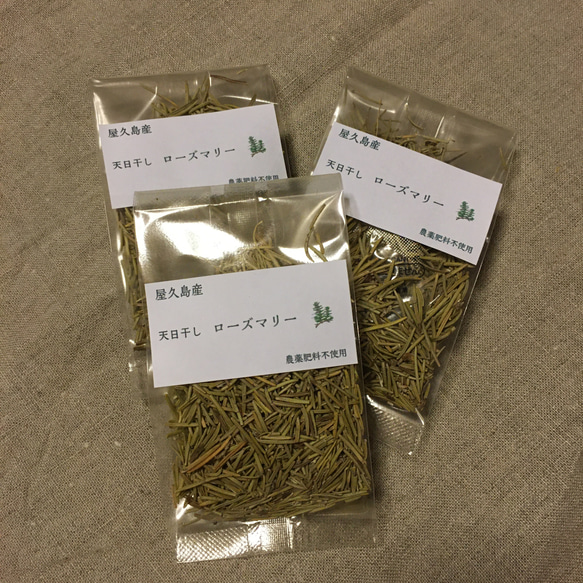  第1張的照片