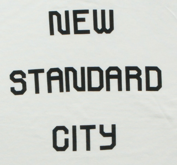 S/S NSCロゴTシャツ(バニラホワイト） 3枚目の画像