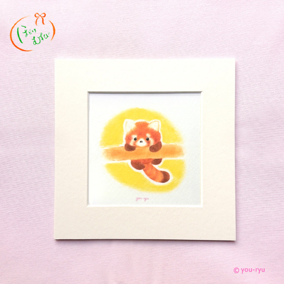 マット額付イラスト「レッサーパンダちゃん」 イラスト you-ryu 通販