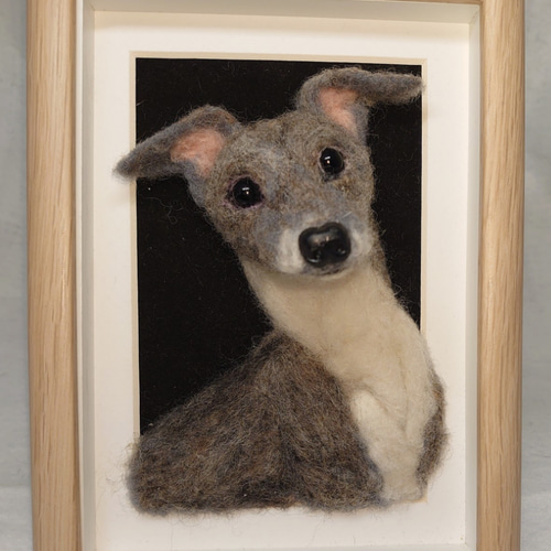 羊毛フェルトイタリアングレーハウンドイタグレ